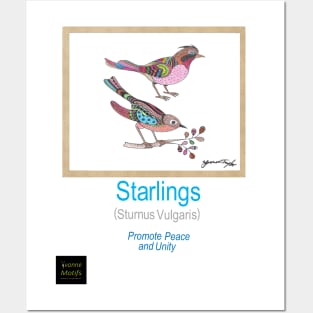 Starlings Posters and Art